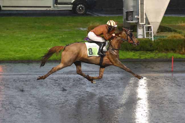Photo d'arrivée de la course pmu PRIX HENRI DESMONTILS à PARIS-VINCENNES le Samedi 2 mars 2024