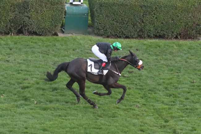 Photo d'arrivée de la course pmu PRIX TOFANO à AUTEUIL le Dimanche 3 mars 2024