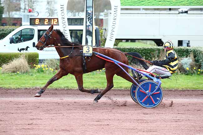 Photo d'arrivée de la course pmu GRAND NATIONAL DU TROT à AMIENS le Mercredi 6 mars 2024