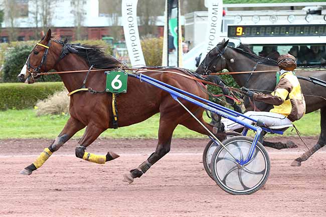 Photo d'arrivée de la course pmu PRIX MOET ET CHANDON à AMIENS le Mercredi 6 mars 2024