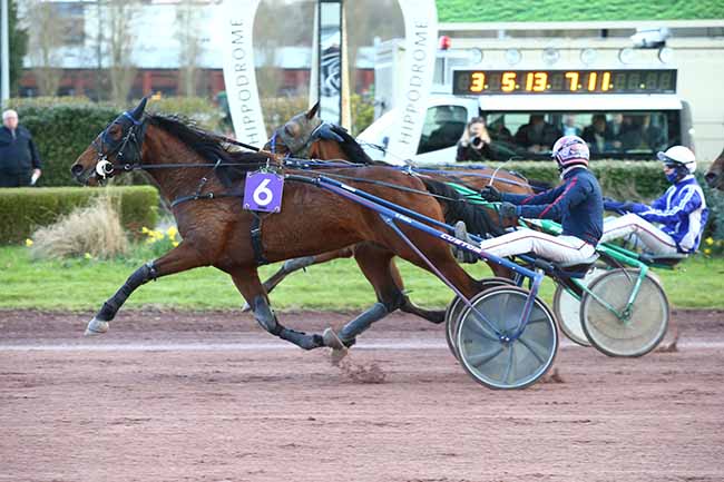 Photo d'arrivée de la course pmu PRIX POINT DE VENTE LE SULKY - SALOUEL à AMIENS le Mercredi 6 mars 2024