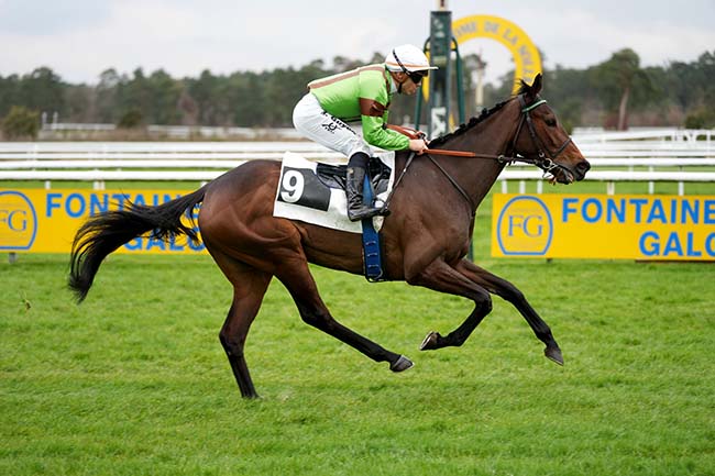 Photo d'arrivée de la course pmu PRIX DE BOIS-LE-ROI à FONTAINEBLEAU le Mercredi 6 mars 2024