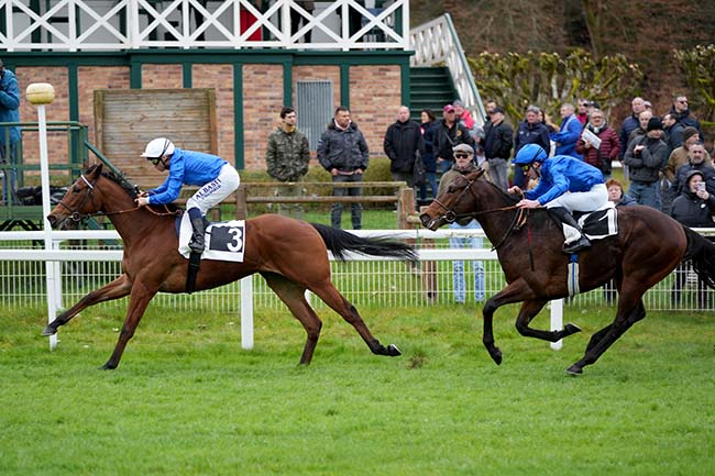 Photo d'arrivée de la course pmu PRIX DE L'HIPPODROME DE RAMBOUILLET à FONTAINEBLEAU le Mercredi 6 mars 2024