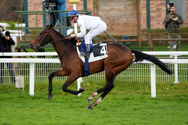 Photo d'arrivée de la course pmu PRIX DES ROCHERS DE FONTAINEBLEAU à FONTAINEBLEAU le Mercredi 6 mars 2024