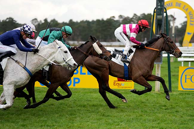 Photo d'arrivée de la course pmu PRIX DU ROCHER DES DEMOISELLES à FONTAINEBLEAU le Mercredi 6 mars 2024