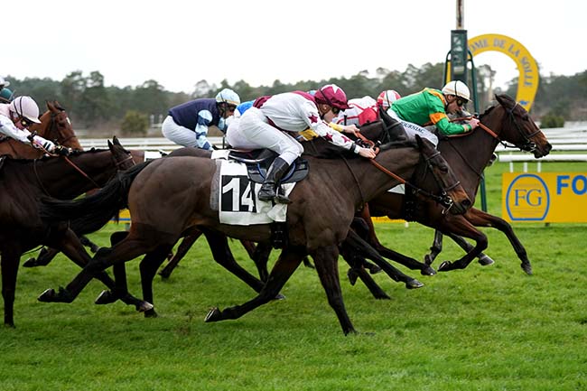 Photo d'arrivée de la course pmu PRIX DES SEQUOIAS à FONTAINEBLEAU le Mercredi 6 mars 2024