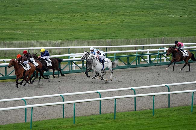 Photo d'arrivée de la course pmu PRIX MONTJEU à CHANTILLY le Vendredi 8 mars 2024