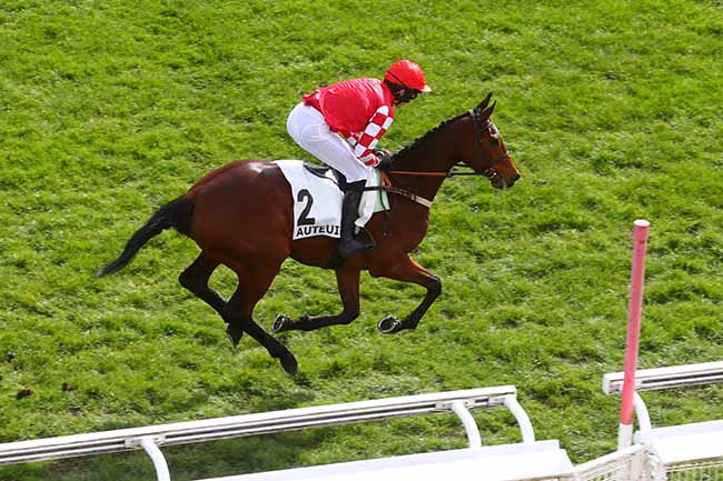 Photo d'arrivée de la course pmu PRIX VENTRILOQUE à AUTEUIL le Samedi 9 mars 2024