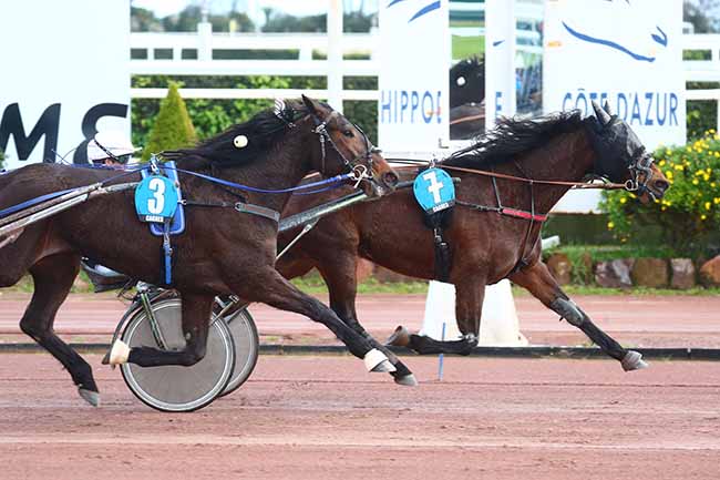 Photo d'arrivée de la course pmu PRIX DE MILAN à CAGNES-SUR-MER le Dimanche 10 mars 2024