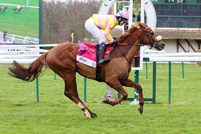 Photo d'arrivée de la course pmu PRIX MICHELINE LEURSON - HANDICAP CHALLENGE à COMPIEGNE le Dimanche 10 mars 2024