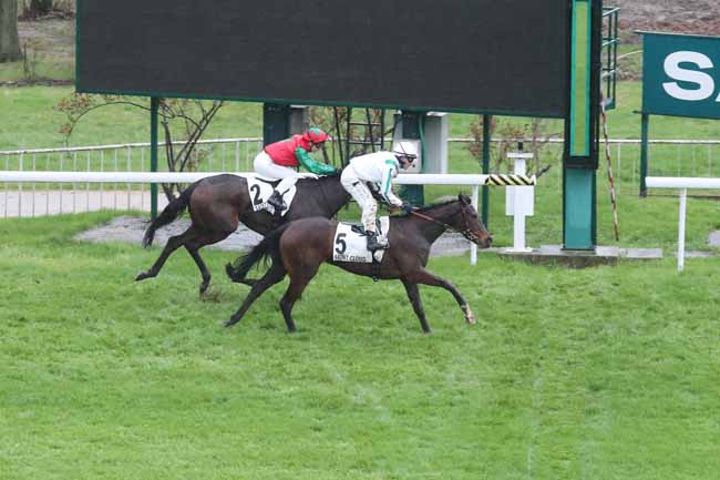 Photo d'arrivée de la course pmu PRIX CALANDRIA à SAINT CLOUD le Mardi 12 mars 2024