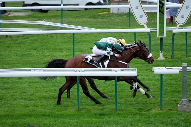 Photo d'arrivée de la course pmu PRIX SOLITAIRE à COMPIEGNE le Mercredi 13 mars 2024