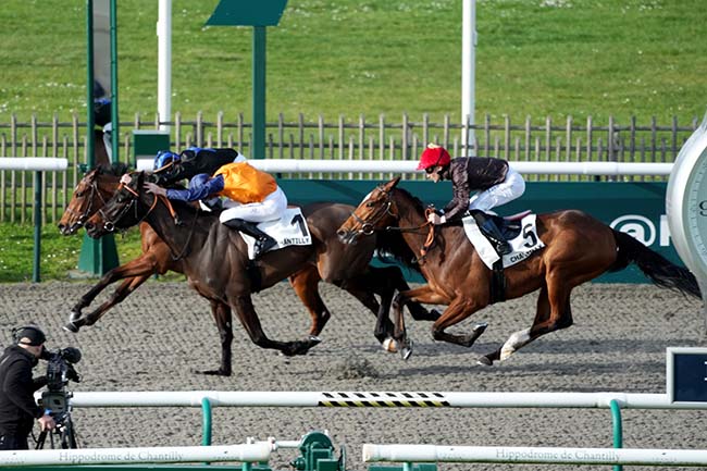 Photo d'arrivée de la course pmu PRIX DE LA PISTOLE à CHANTILLY le Jeudi 14 mars 2024