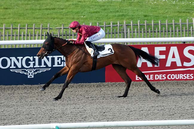 Photo d'arrivée de la course pmu PRIX DU BASSIN DES SERRURIERS à CHANTILLY le Jeudi 14 mars 2024