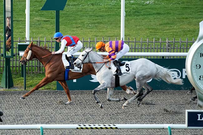 Photo d'arrivée de la course pmu PRIX DE LA FORET DE CHANTILLY à CHANTILLY le Jeudi 14 mars 2024