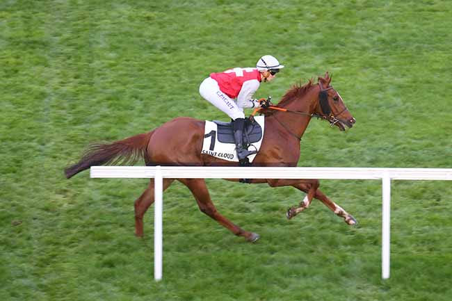Photo d'arrivée de la course pmu PRIX DES PYRENEES-ORIENTALES à SAINT CLOUD le Samedi 16 mars 2024