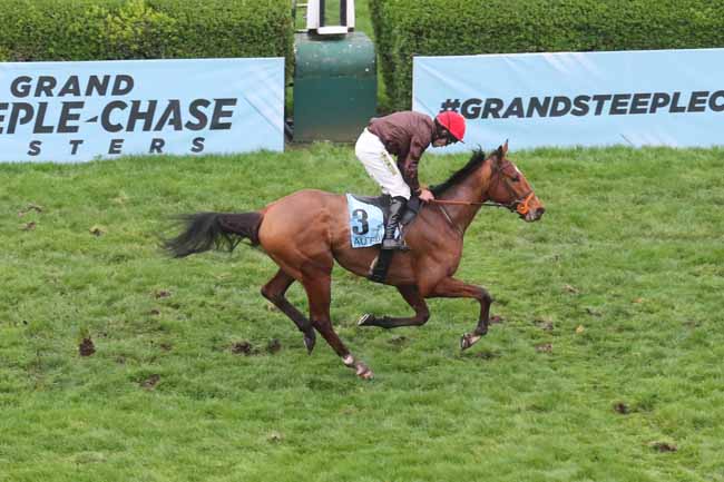 Photo d'arrivée de la course pmu GRAND STEEPLE-CHASE MASTERS - PRIX TROYTOWN à AUTEUIL le Dimanche 17 mars 2024