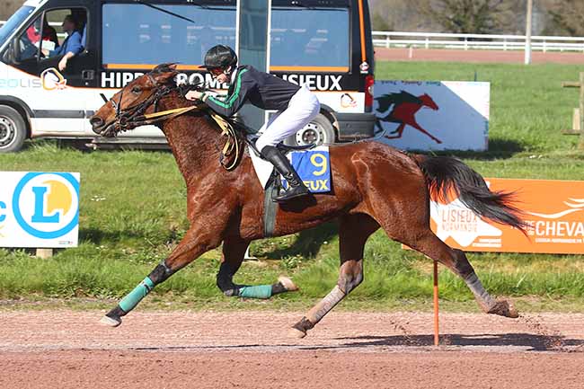 Photo d'arrivée de la course pmu PRIX ATELIER 110 à LISIEUX le Mercredi 20 mars 2024