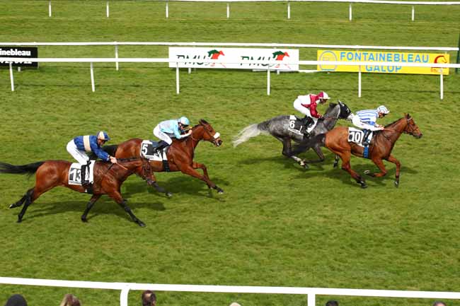 Photo d'arrivée de la course pmu PRIX HUBERT DE CATHEU à FONTAINEBLEAU le Lundi 25 mars 2024