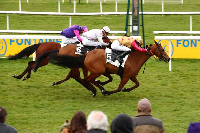 Photo d'arrivée de la course pmu PRIX DES MARAIS à FONTAINEBLEAU le Lundi 25 mars 2024