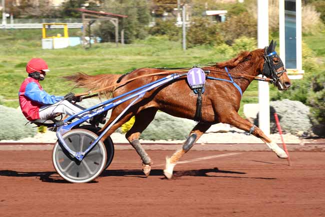Photo d'arrivée de la course pmu PRIX LES SPARTIATES DE MARSEILLE à MARSEILLE BORELY le Mercredi 27 mars 2024