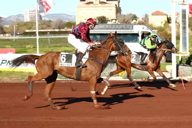 Photo d'arrivée de la course pmu PRIX DES CAVES DE SAINT-MARC DE CAROMB à MARSEILLE BORELY le Mercredi 27 mars 2024