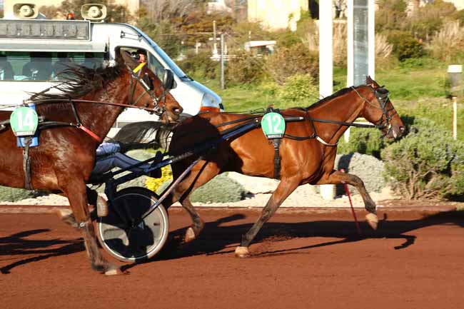 Photo d'arrivée de la course pmu PRIX DE CAGNES-SUR-MER à MARSEILLE BORELY le Mercredi 27 mars 2024