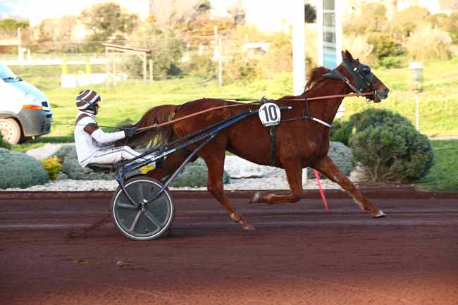 Photo d'arrivée de la course pmu PRIX DU DOCTEUR YVES BACHELIER à MARSEILLE BORELY le Mercredi 27 mars 2024