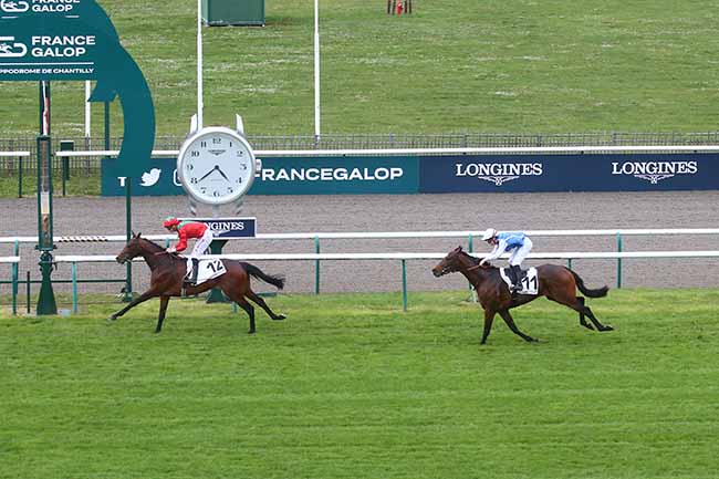 Photo d'arrivée de la course pmu PRIX DU BOSQUET DE THESEE à CHANTILLY le Samedi 30 mars 2024