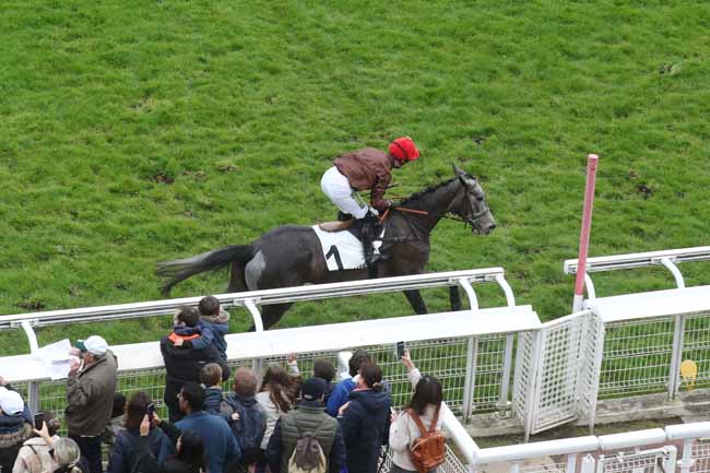 Photo d'arrivée de la course pmu PRIX GEOGRAPHIE à AUTEUIL le Dimanche 31 mars 2024