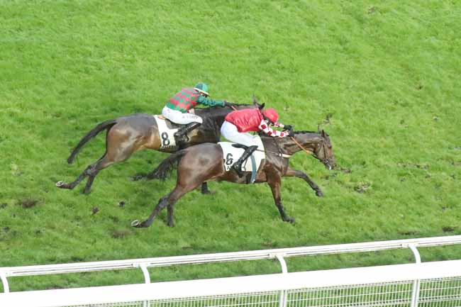 Photo d'arrivée de la course pmu PRIX VIRELAN à AUTEUIL le Dimanche 31 mars 2024