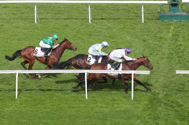 Photo d'arrivée de la course pmu PRIX BRULEUR à SAINT CLOUD le Lundi 1 avril 2024