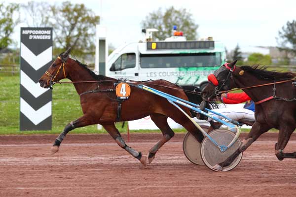 Photo d'arrivée de la course pmu PRIX INTERMEDE à ANGERS le Mercredi 3 avril 2024