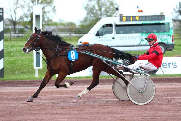 Photo d'arrivée de la course pmu PRIX 24H AU TROT (PRIX TENOR DE BAUNE) à ANGERS le Mercredi 3 avril 2024