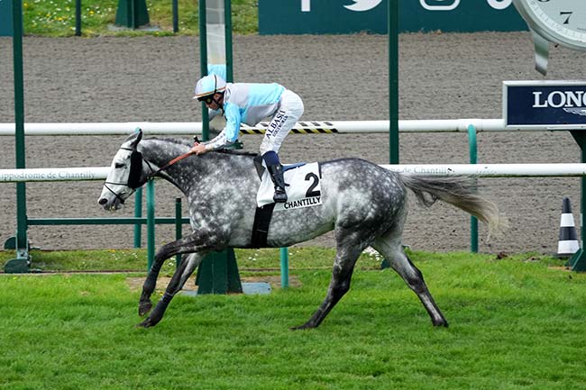 Photo d'arrivée de la course pmu PRIX DU HARAS AU BOIS à CHANTILLY le Jeudi 4 avril 2024