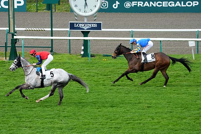 Photo d'arrivée de la course pmu PRIX DE LA MAISON DES OFFICIERS à CHANTILLY le Jeudi 4 avril 2024