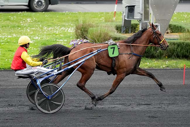 Photo d'arrivée de la course pmu PRIX DE SAINTES à PARIS-VINCENNES le Samedi 6 avril 2024