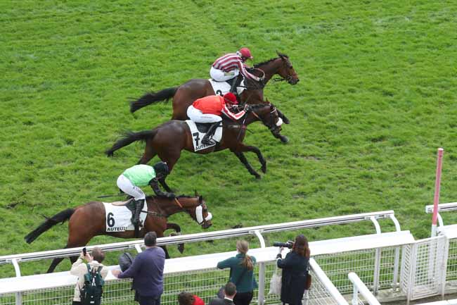 Photo d'arrivée de la course pmu PRIX CHAMPAUBERT à AUTEUIL le Samedi 6 avril 2024
