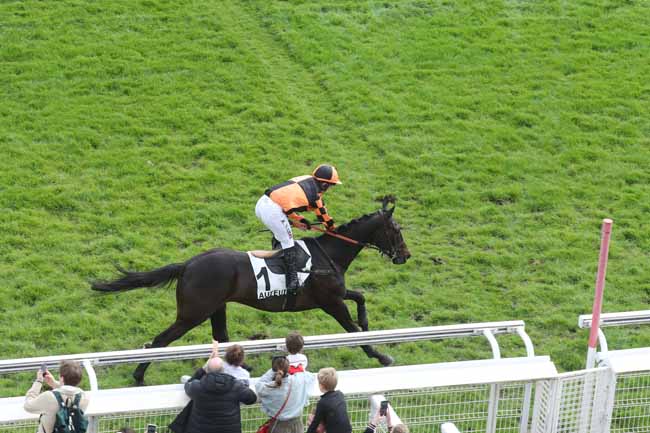Photo d'arrivée de la course pmu PRIX DE PEPINVAST à AUTEUIL le Samedi 6 avril 2024