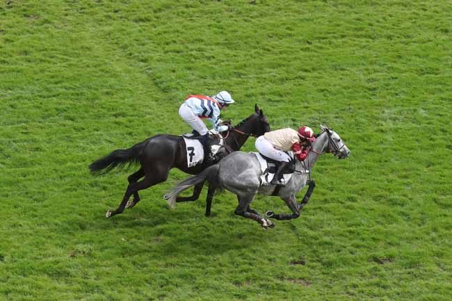 Photo d'arrivée de la course pmu PRIX OTEUIL SF à AUTEUIL le Samedi 6 avril 2024