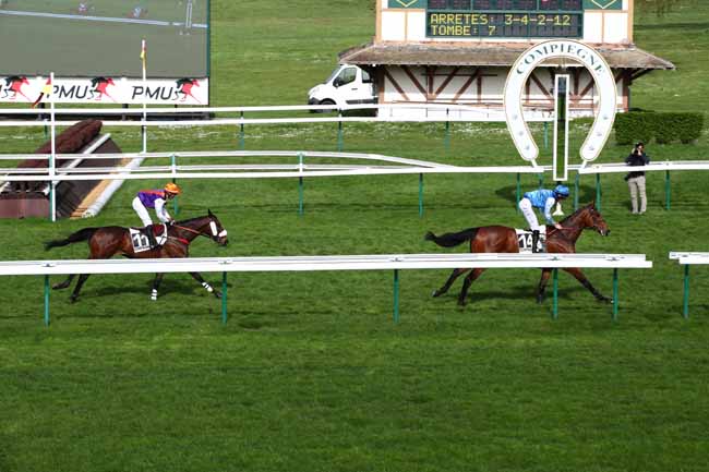 Photo d'arrivée de la course pmu PRIX ORVILLIERS à COMPIEGNE le Lundi 8 avril 2024