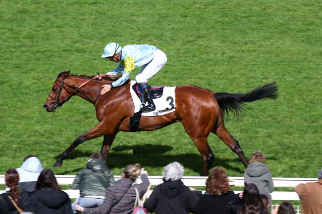 Photo d'arrivée de la course pmu PRIX DJEBEL à DEAUVILLE le Mardi 9 avril 2024
