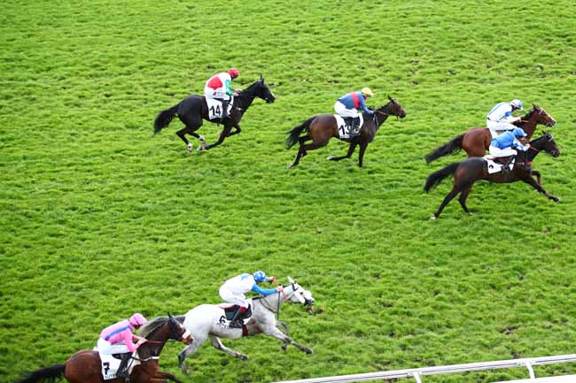 Photo d'arrivée de la course pmu PRIX DE BORELY à AUTEUIL le Jeudi 11 avril 2024