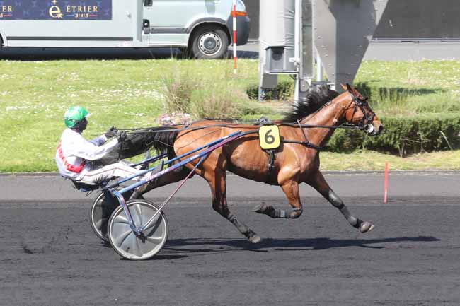 Photo d'arrivée de la course pmu PRIX DE WISSEMBOURG à PARIS-VINCENNES le Samedi 13 avril 2024