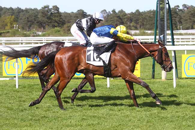 Photo d'arrivée de la course pmu PRIX TECHSTAR FONTAINEBLEAU (PRIX DE LA CHAPELLE-LA-REINE) à FONTAINEBLEAU le Samedi 13 avril 2024
