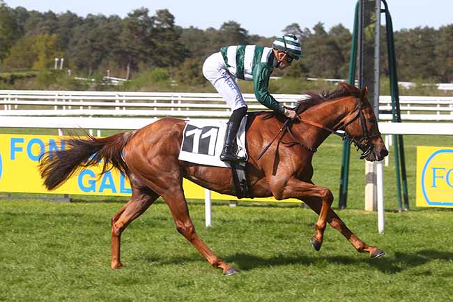 Photo d'arrivée de la course pmu PRIX DES PINS à FONTAINEBLEAU le Samedi 13 avril 2024