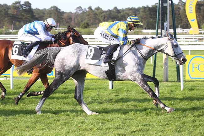 Photo d'arrivée de la course pmu PRIX DE LA FORET DES TROIS PIGNONS à FONTAINEBLEAU le Samedi 13 avril 2024