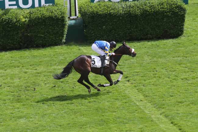 Photo d'arrivée de la course pmu PRIX PHILIPPE MENAGER à AUTEUIL le Mardi 16 avril 2024