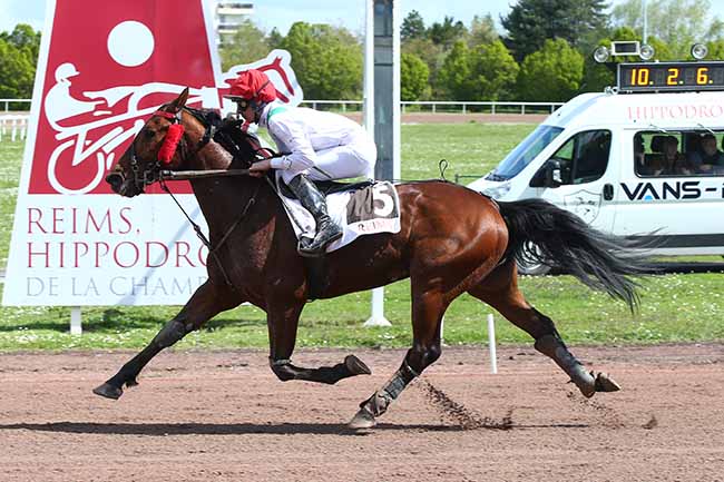 Photo d'arrivée de la course pmu PRIX DES PARTENAIRES PMU à REIMS le Mercredi 17 avril 2024