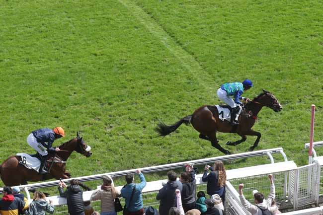 Photo d'arrivée de la course pmu PRIX DE MARSAN à AUTEUIL le Dimanche 21 avril 2024